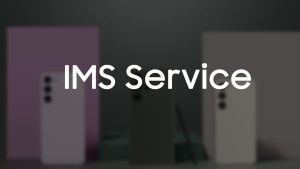 ims service