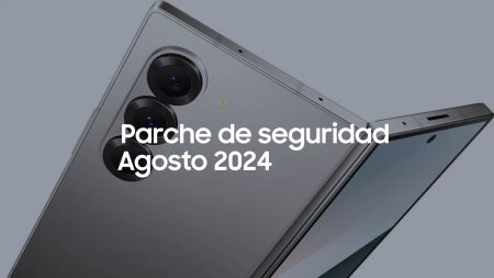 parche de seguridad agosto 2024