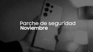 parche de seguridad noviembre